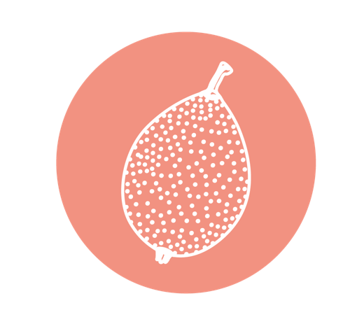 logo de l'huile de marula