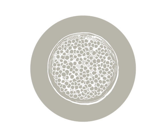 logo de l’hydrolysat de quinoa