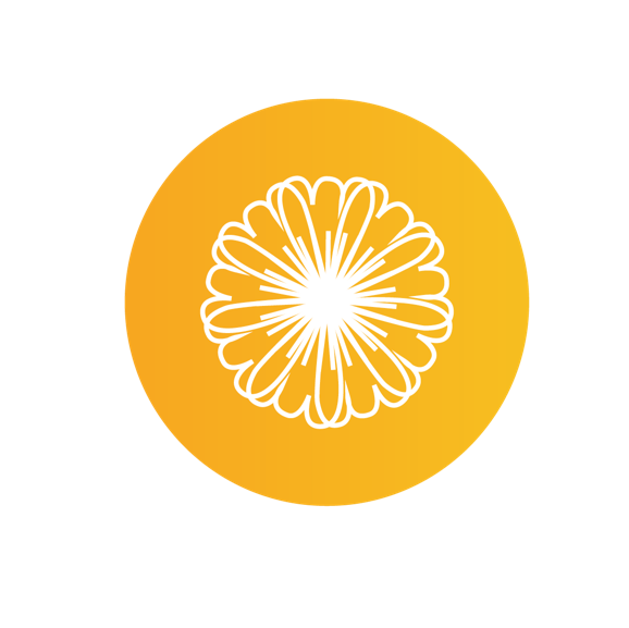 logo extrait de fleur de molène